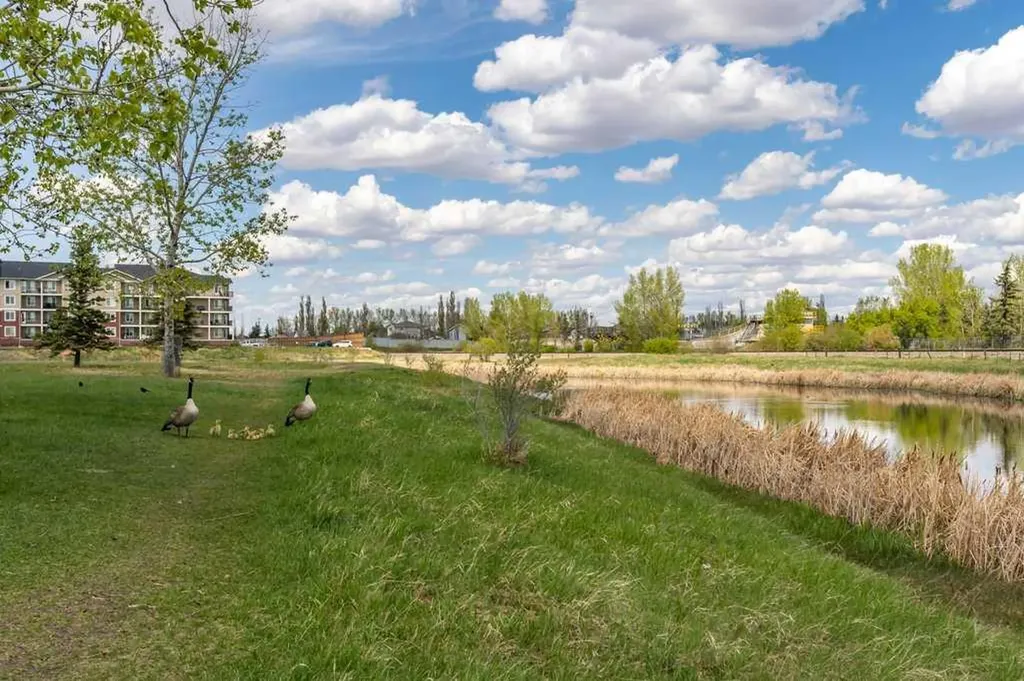 202 Willowbrook Close NW Airdrie AB T4B 2J7
