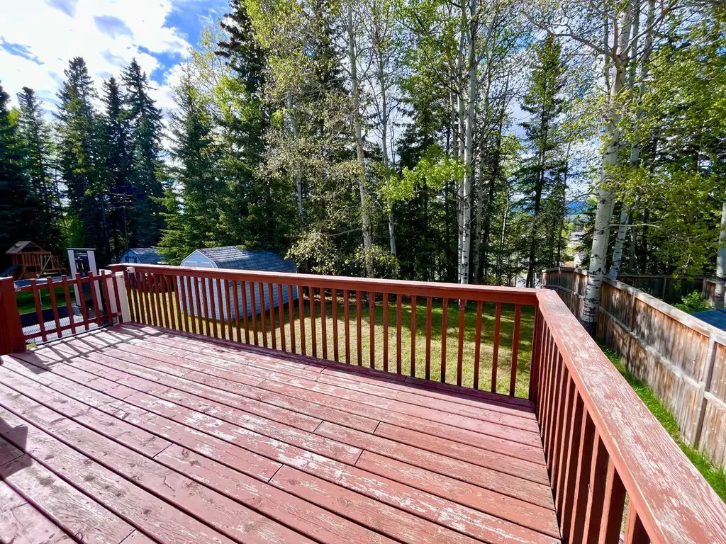 166 Hallam Drive Hinton AB T7V 2C3