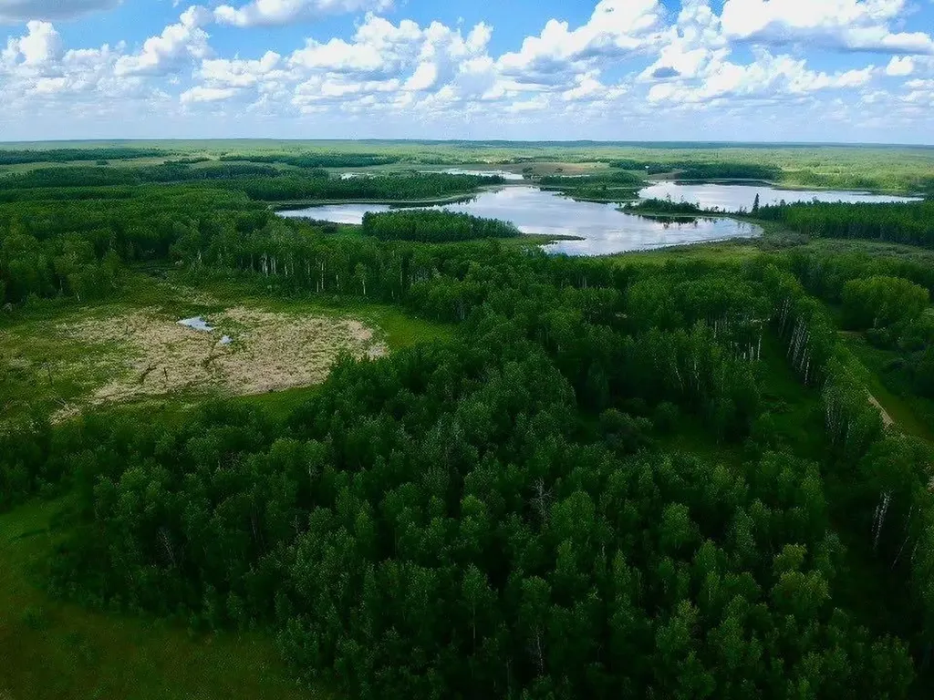 50226 Range Road 204 Rural Beaver County AB T0B 4A0