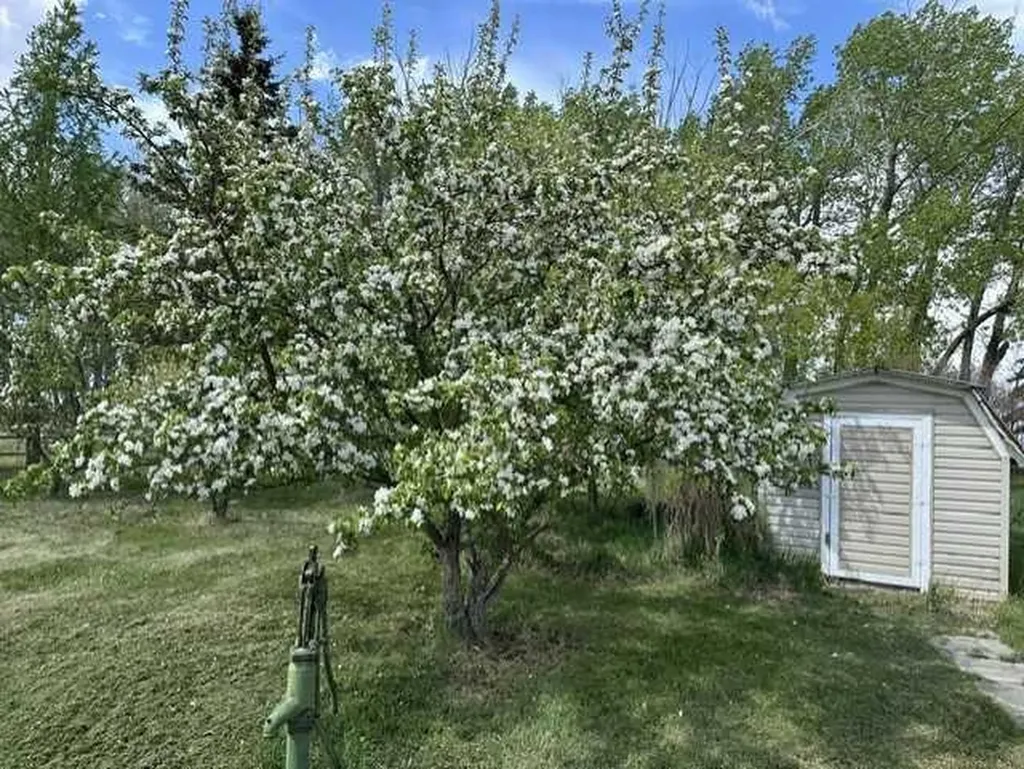 32276 Highway 2 A Rural Mountain View County AB T4H 1T8