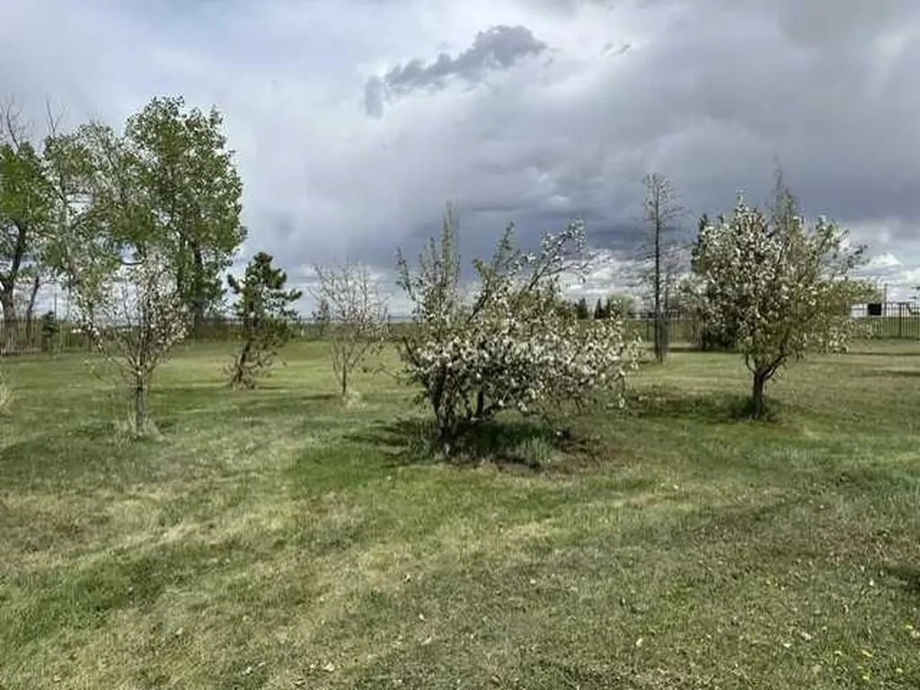 32276 Highway 2 A Rural Mountain View County AB T4H 1T8