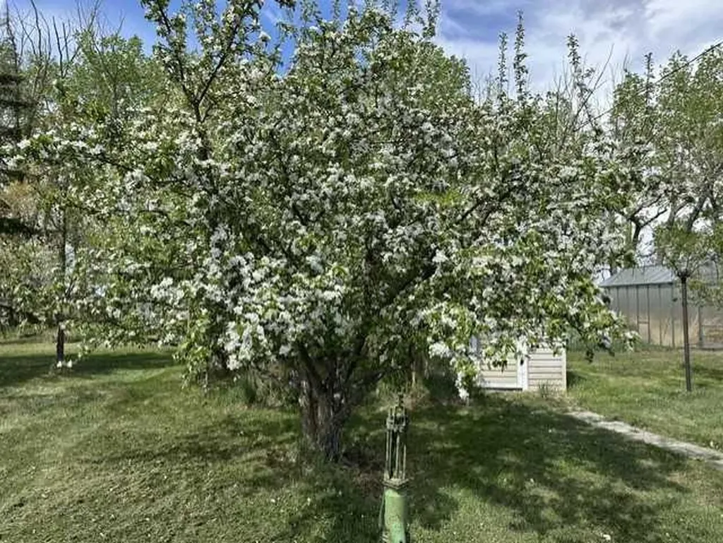 32276 Highway 2 A Rural Mountain View County AB T4H 1T8