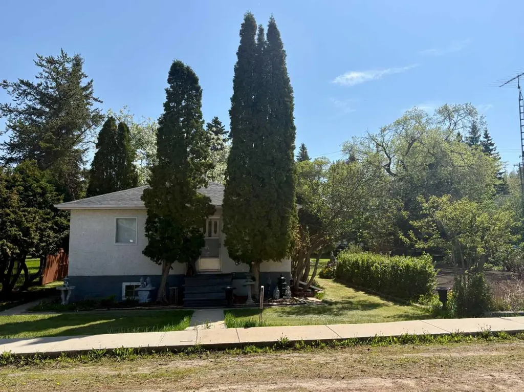 4811 52 Street Innisfree AB T0B 2G0