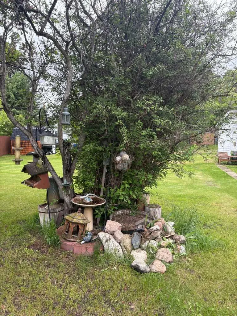 4811 52 Street Innisfree AB T0B 2G0