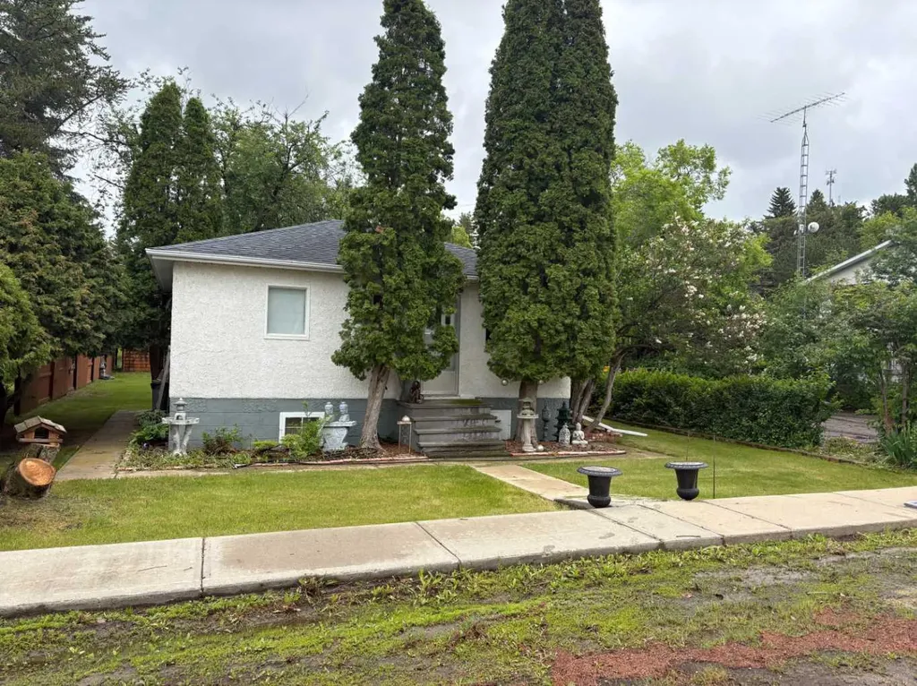 4811 52 Street Innisfree AB T0B 2G0