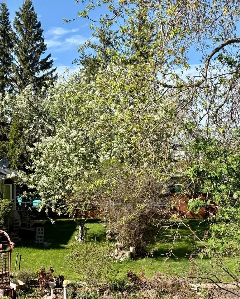 4811 52 Street Innisfree AB T0B 2G0