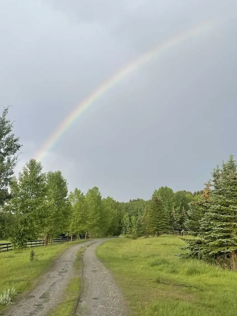 244098 Panorama Ridge SW Rural Rocky View County AB T3Z 3L6