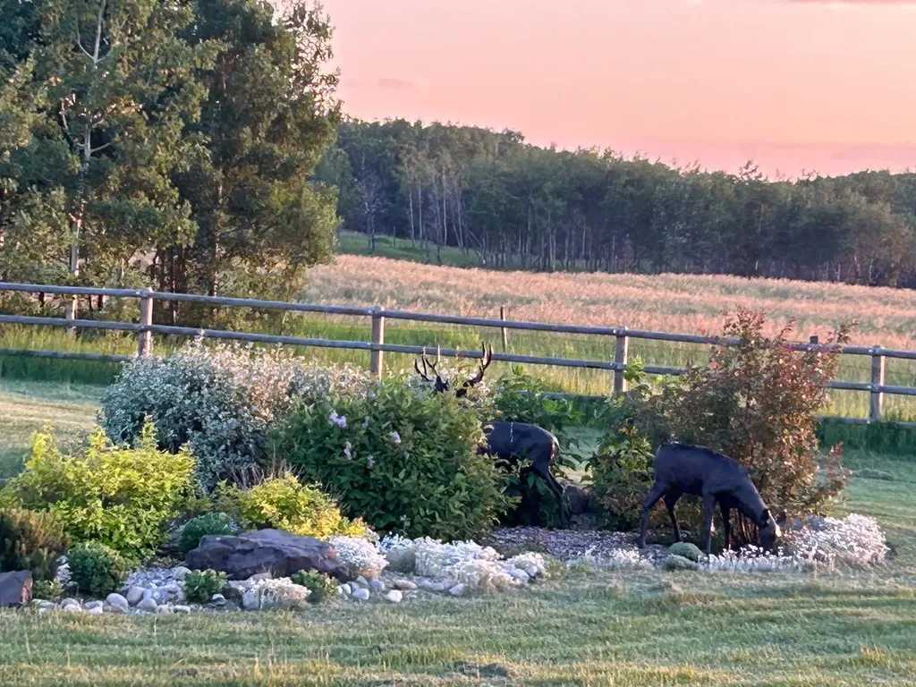 7 Kodiak Springs Cove Rural Rocky View County AB T4C 0B6