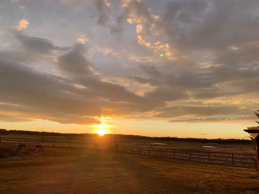 7 Kodiak Springs Cove Rural Rocky View County AB T4C 0B6