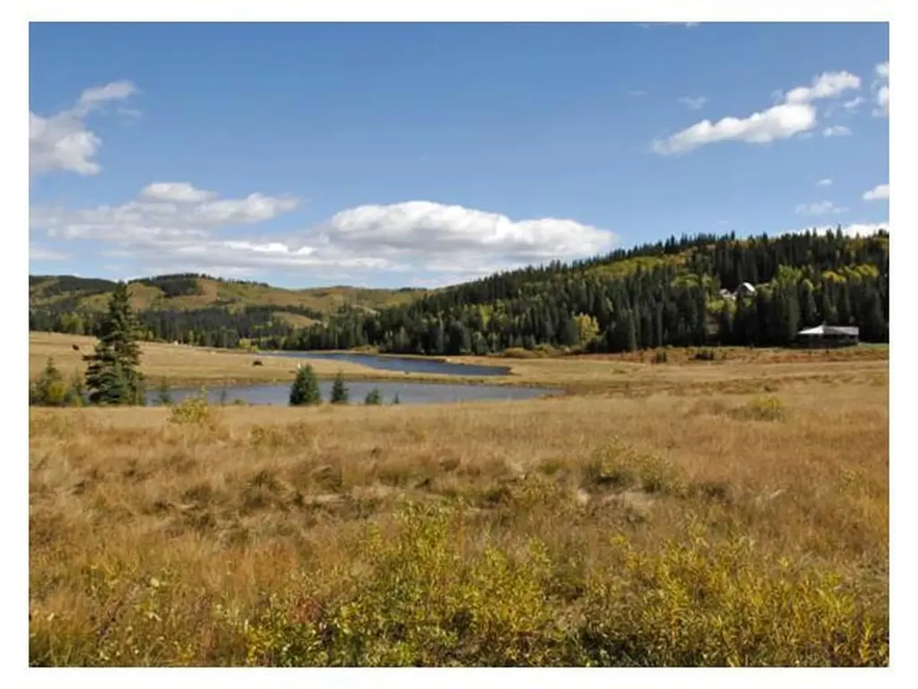 15 Kicking Horse Way Rural Foothills County AB T0L 1K0