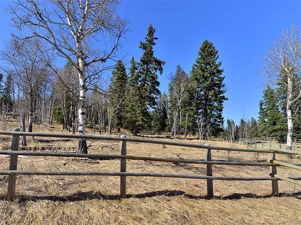 15 Kicking Horse Way Rural Foothills County AB T0L 1K0