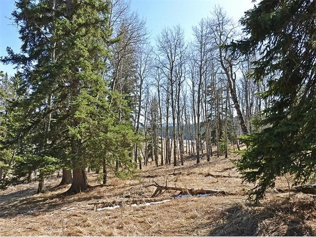 15 Kicking Horse Way Rural Foothills County AB T0L 1K0