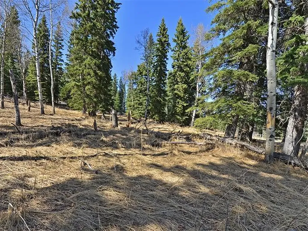 15 Kicking Horse Way Rural Foothills County AB T0L 1K0