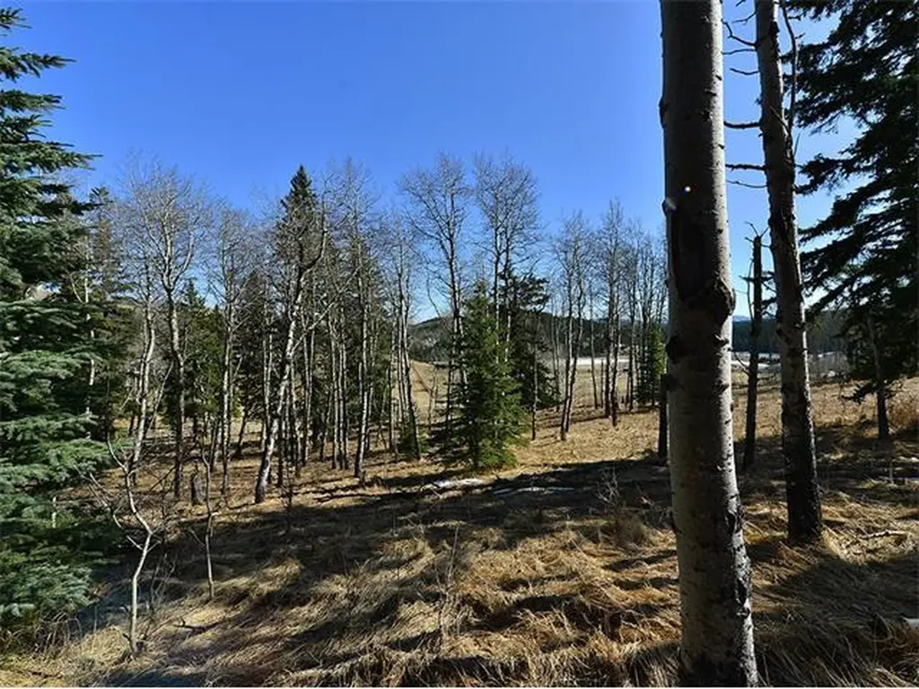 15 Kicking Horse Way Rural Foothills County AB T0L 1K0