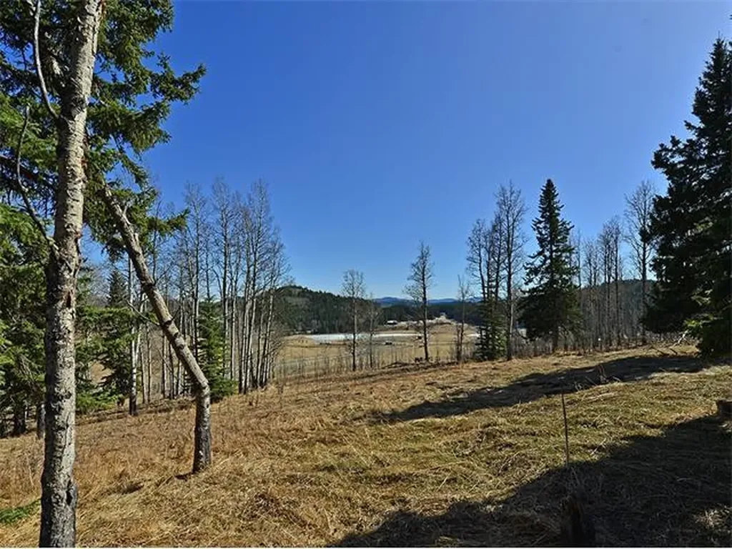 15 Kicking Horse Way Rural Foothills County AB T0L 1K0