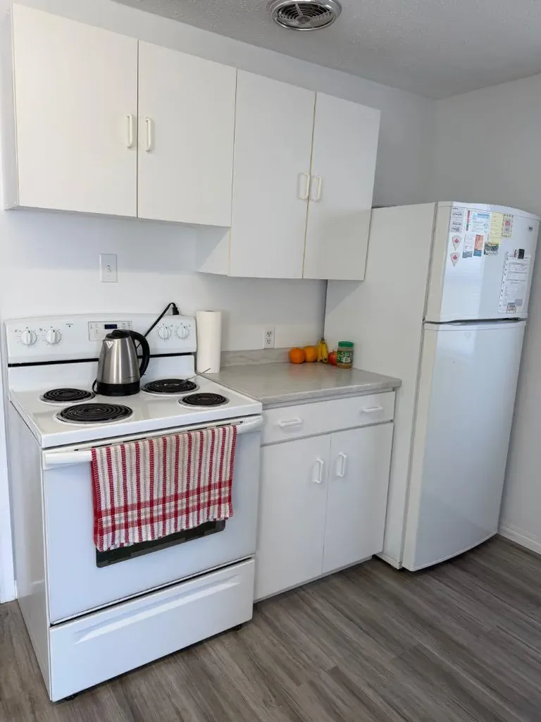 118 1 Street W St. Walburg SK S0M 2T0