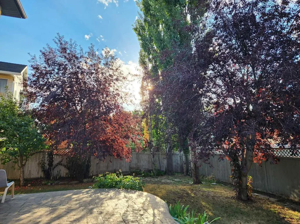 6 Douglas Woods Bay SE Calgary AB T2Z 3A1