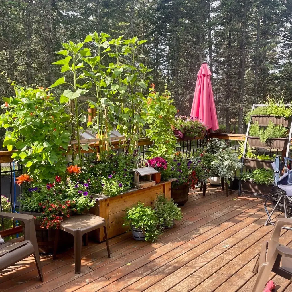 94 Redwood Meadows Drive Rural Rocky View County AB T3Z 1A3