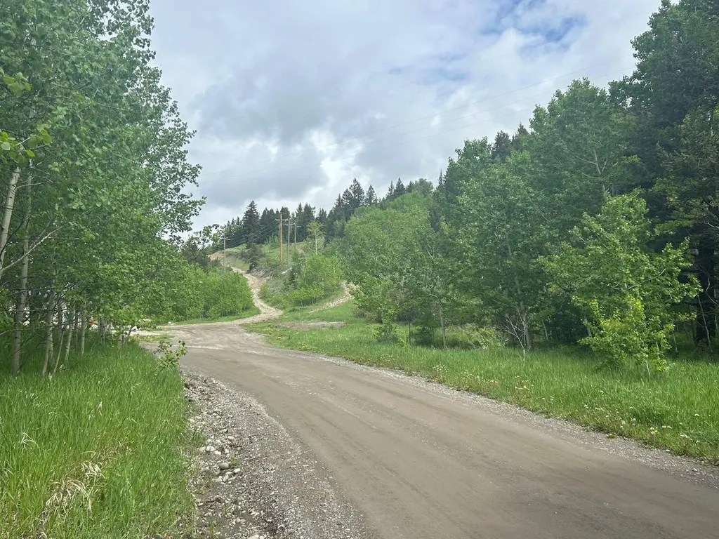 20602 25 Avenue Bellevue AB T0K 0C0