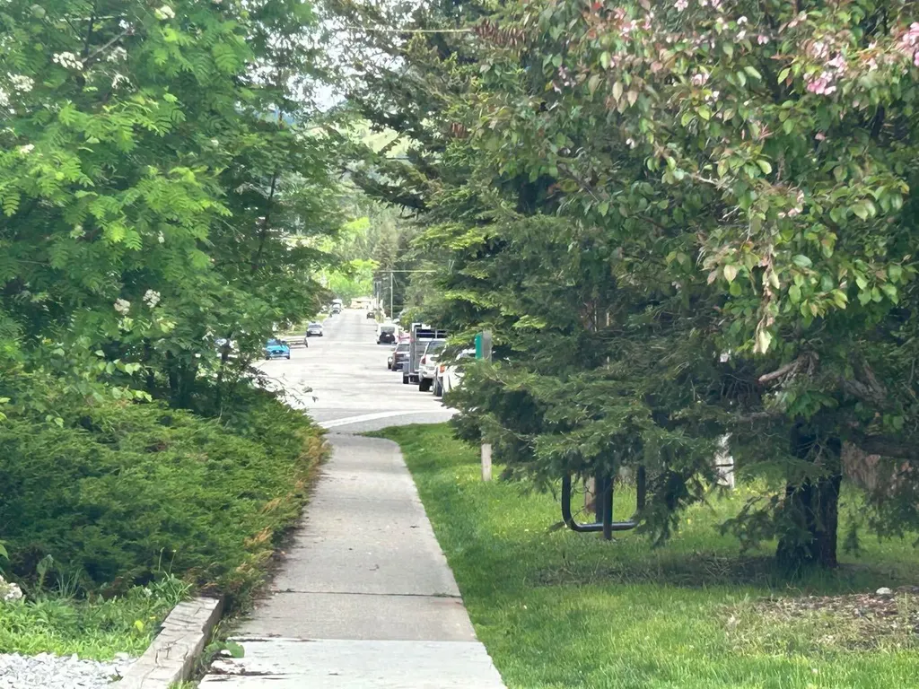 20602 25 Avenue Bellevue AB T0K 0C0