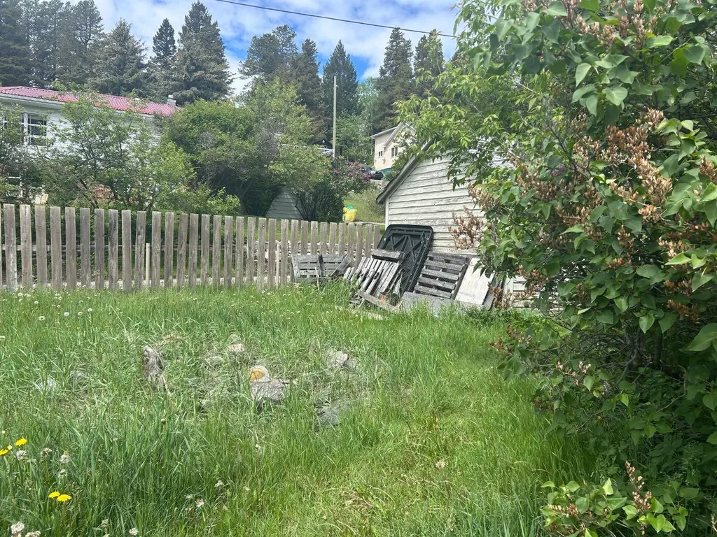 20602 25 Avenue Bellevue AB T0K 0C0