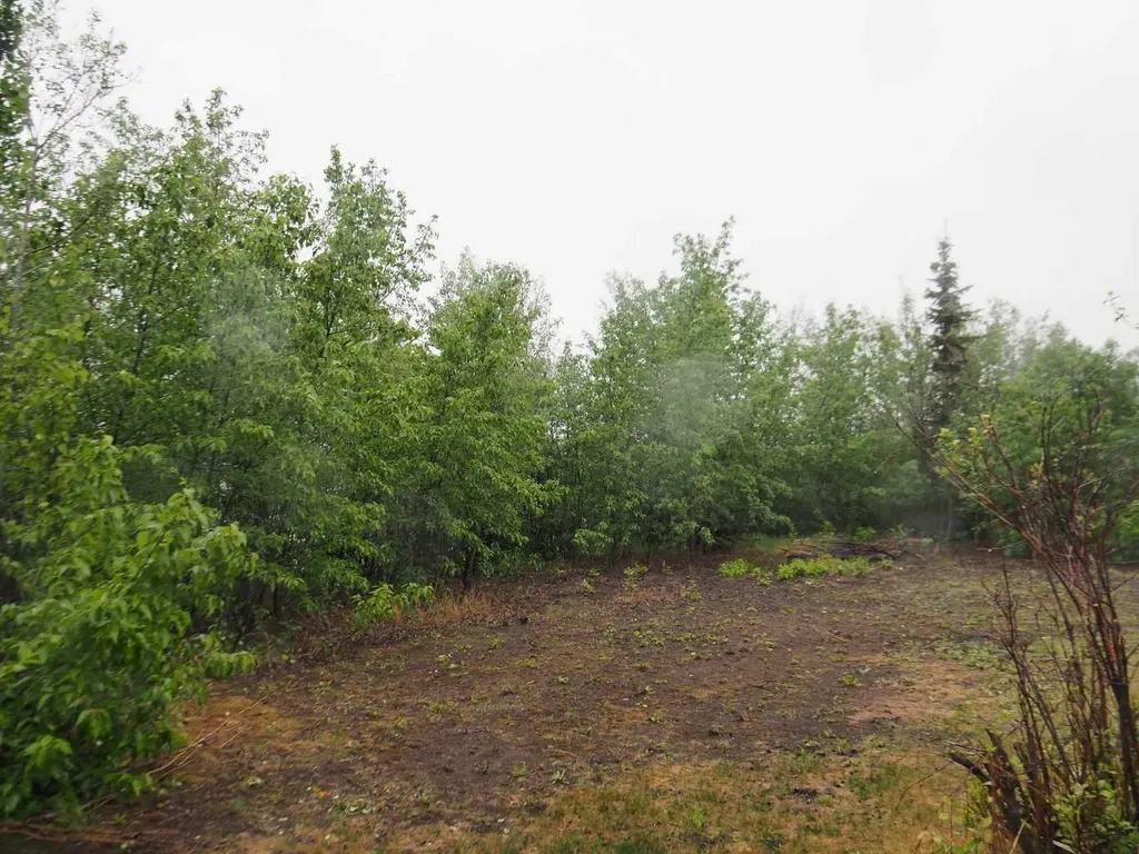 6 Spruce Close Lacombe AB T4L 2L3