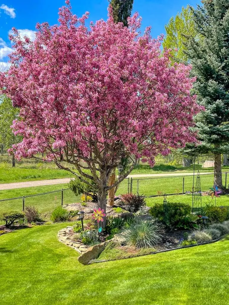 2171 Douglasbank Crescent SE Calgary AB T2Z2C2