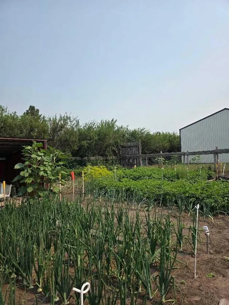 274133 Range Road 252 Rural Rocky View County AB T0M 0G0