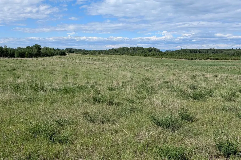 On Range Road 4-5 Rural Clearwater County AB T0M 0P0