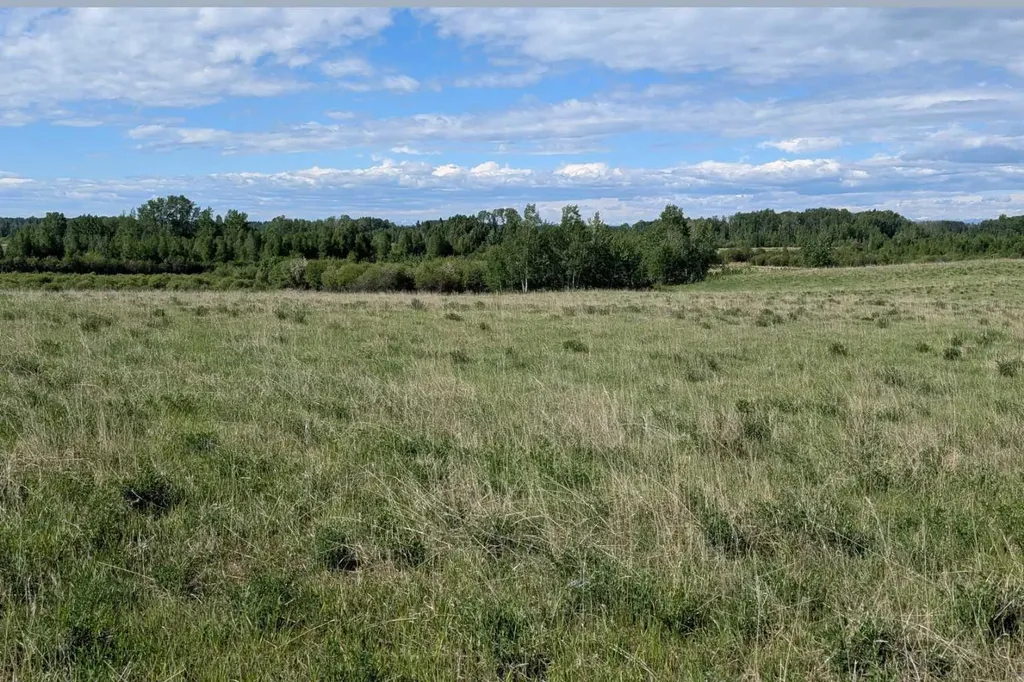 On Range Road 4-5 Rural Clearwater County AB T0M 0P0