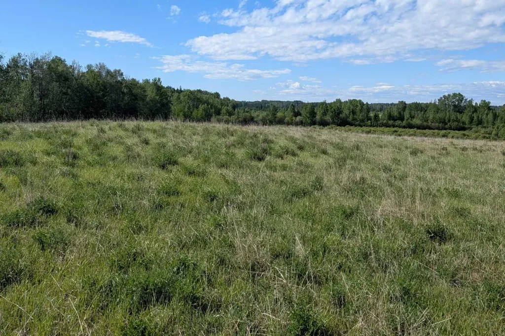 On Range Road 4-5 Rural Clearwater County AB T0M 0P0