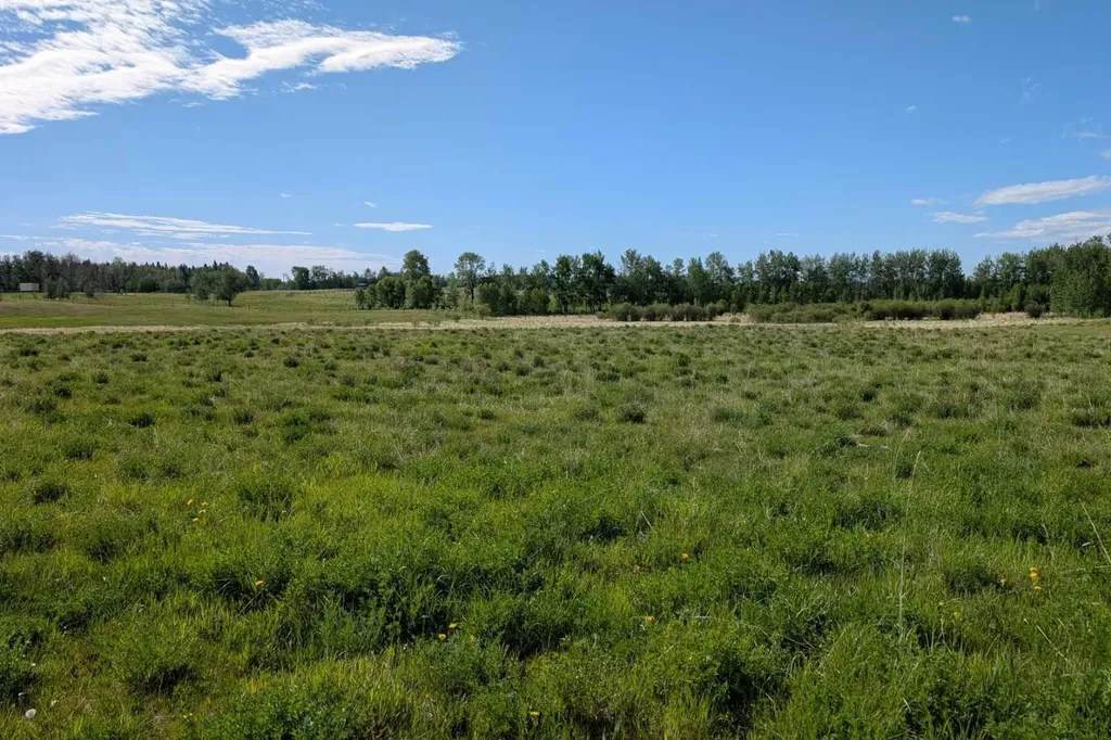 On Range Road 4-5 Rural Clearwater County AB T0M 0P0