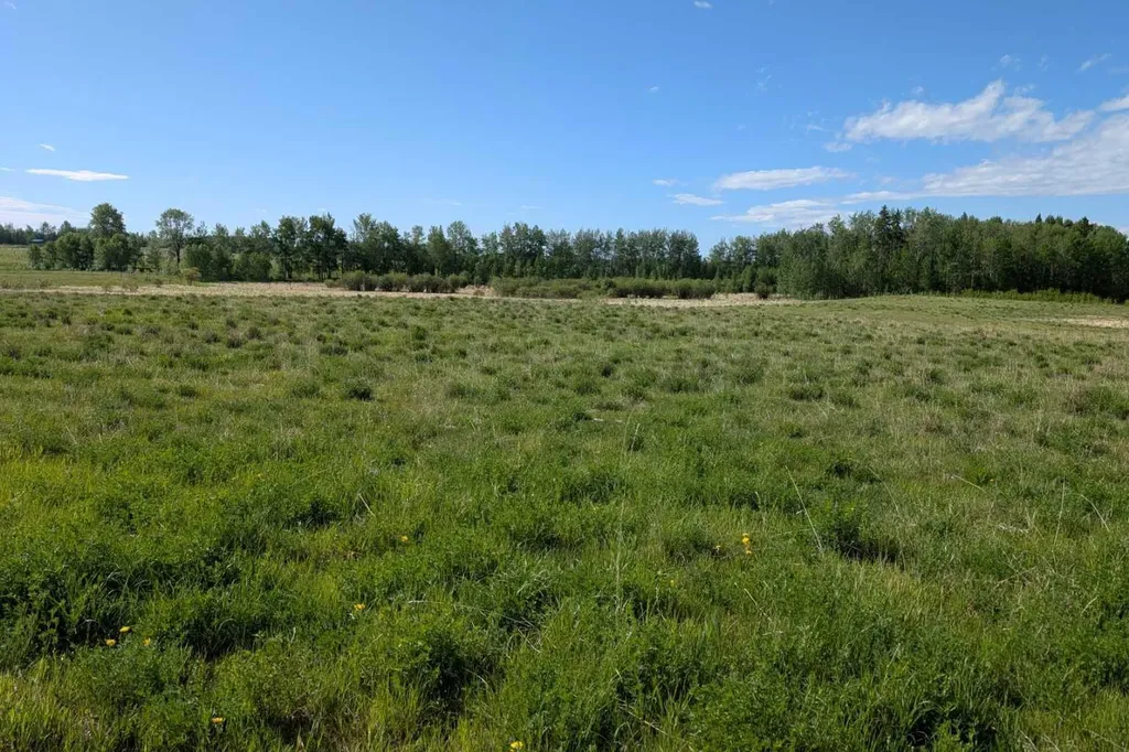 On Range Road 4-5 Rural Clearwater County AB T0M 0P0
