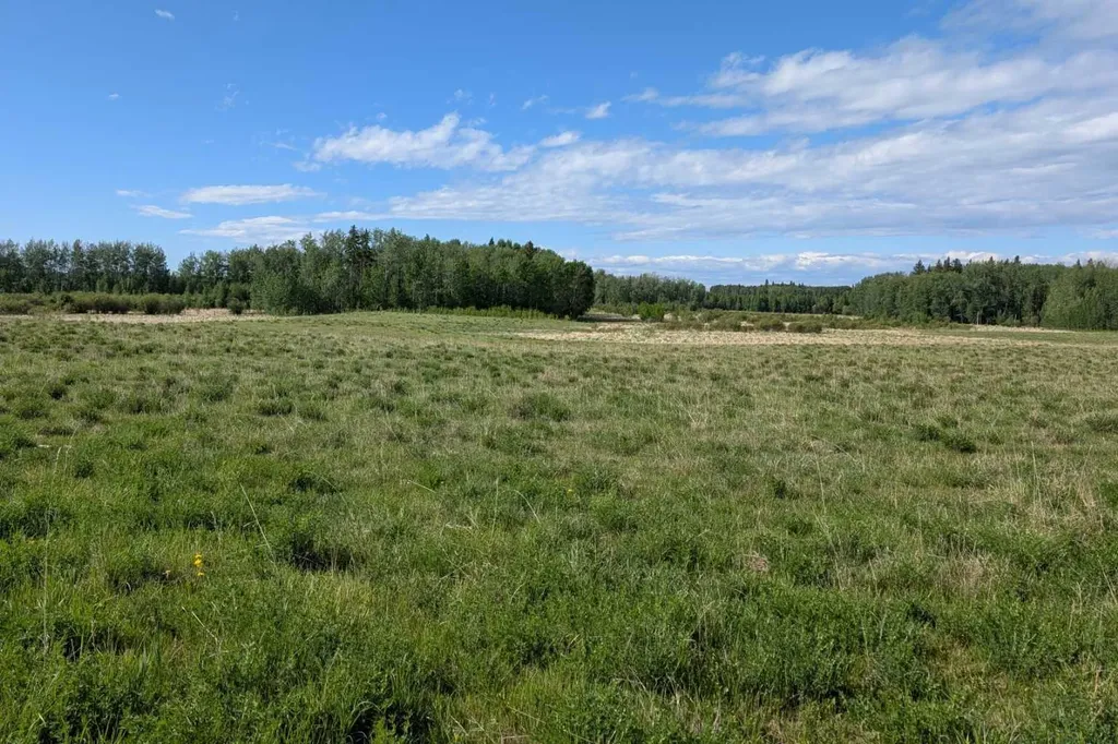 On Range Road 4-5 Rural Clearwater County AB T0M 0P0