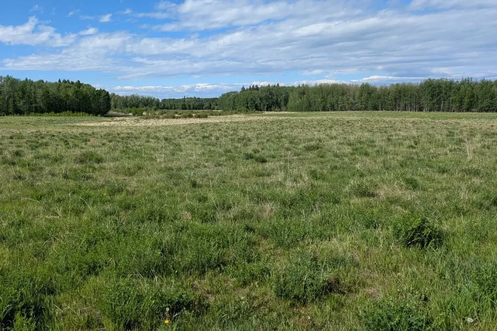 On Range Road 4-5 Rural Clearwater County AB T0M 0P0