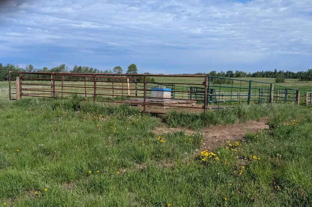 On Range Road 4-5 Rural Clearwater County AB T0M 0P0
