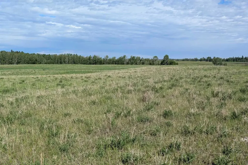 On Range Road 4-5 Rural Clearwater County AB T0M 0P0