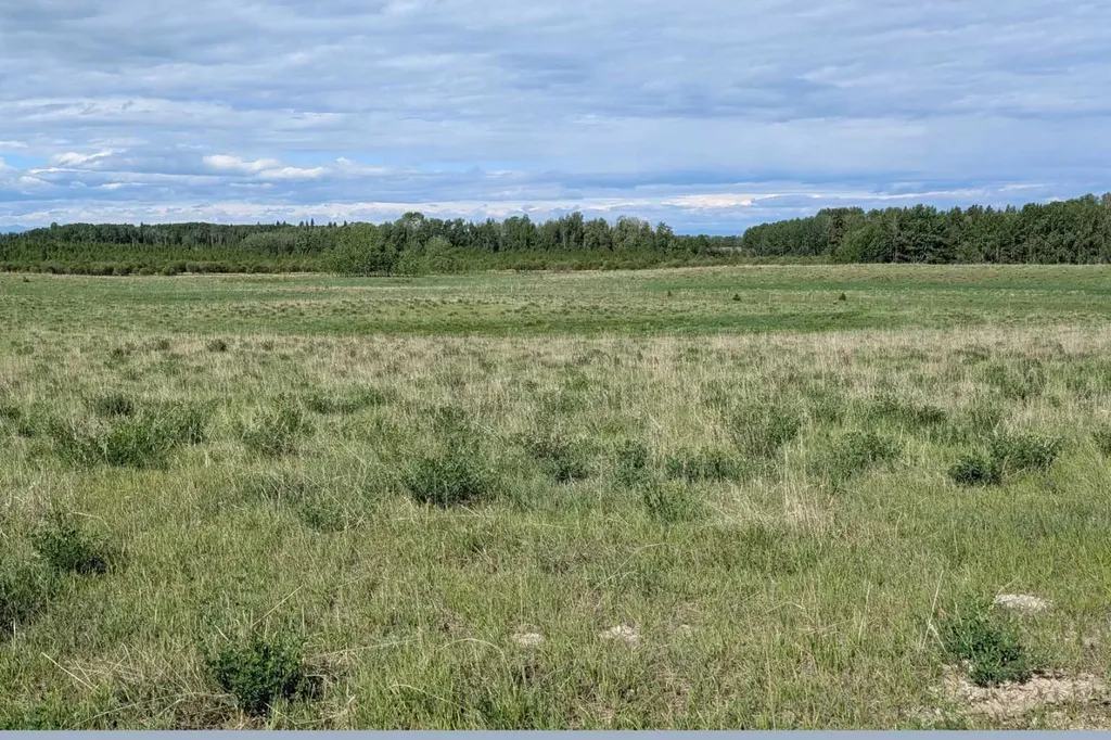 On Range Road 4-5 Rural Clearwater County AB T0M 0P0