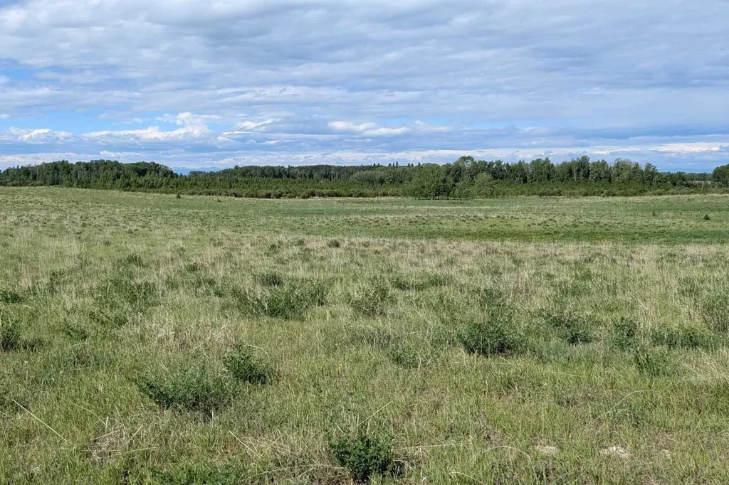 On Range Road 4-5 Rural Clearwater County AB T0M 0P0