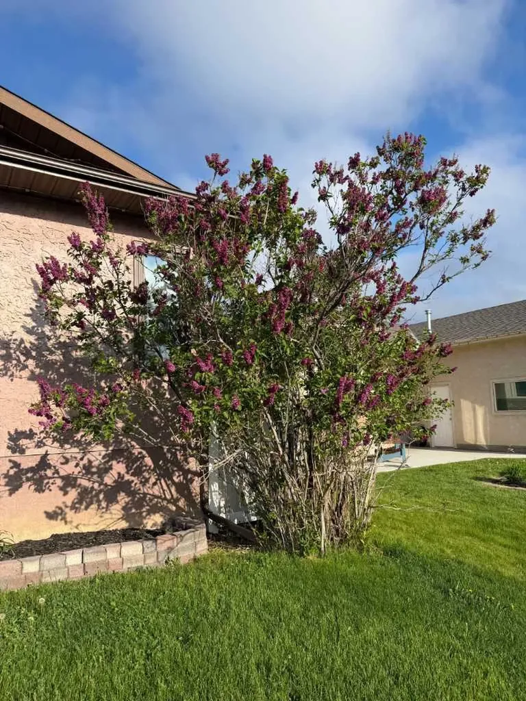 910 7 Street SE Redcliff AB T0J 2P0