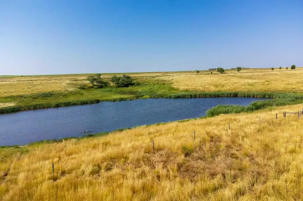 242017 Township Road 232 Rural Wheatland County AB T1P 1J6