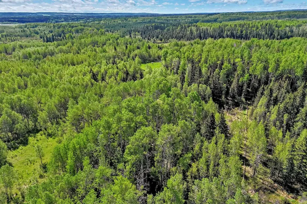 5401 Township Road 312 Rural Mountain View County AB T0M 1X0