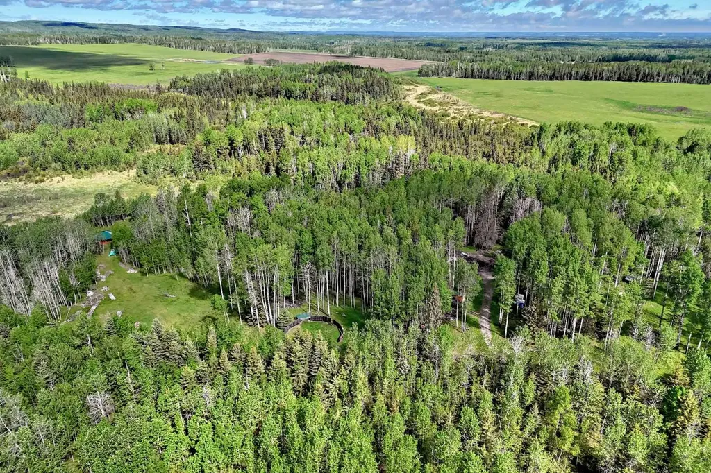 5401 Township Road 312 Rural Mountain View County AB T0M 1X0