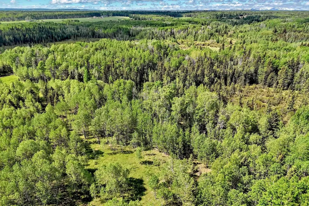 5401 Township Road 312 Rural Mountain View County AB T0M 1X0