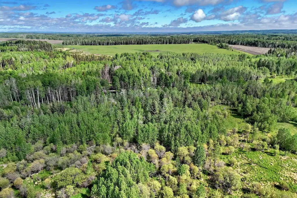 5401 Township Road 312 Rural Mountain View County AB T0M 1X0