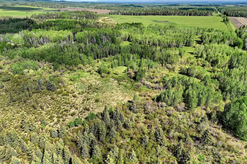 5401 Township Road 312 Rural Mountain View County AB T0M 1X0