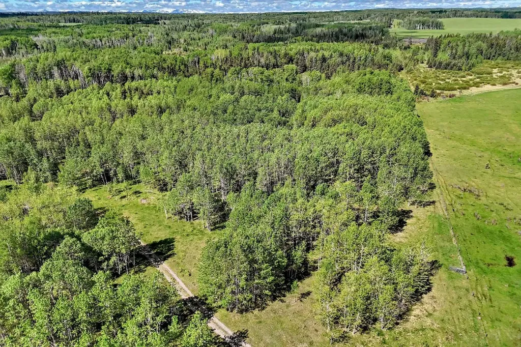 5401 Township Road 312 Rural Mountain View County AB T0M 1X0