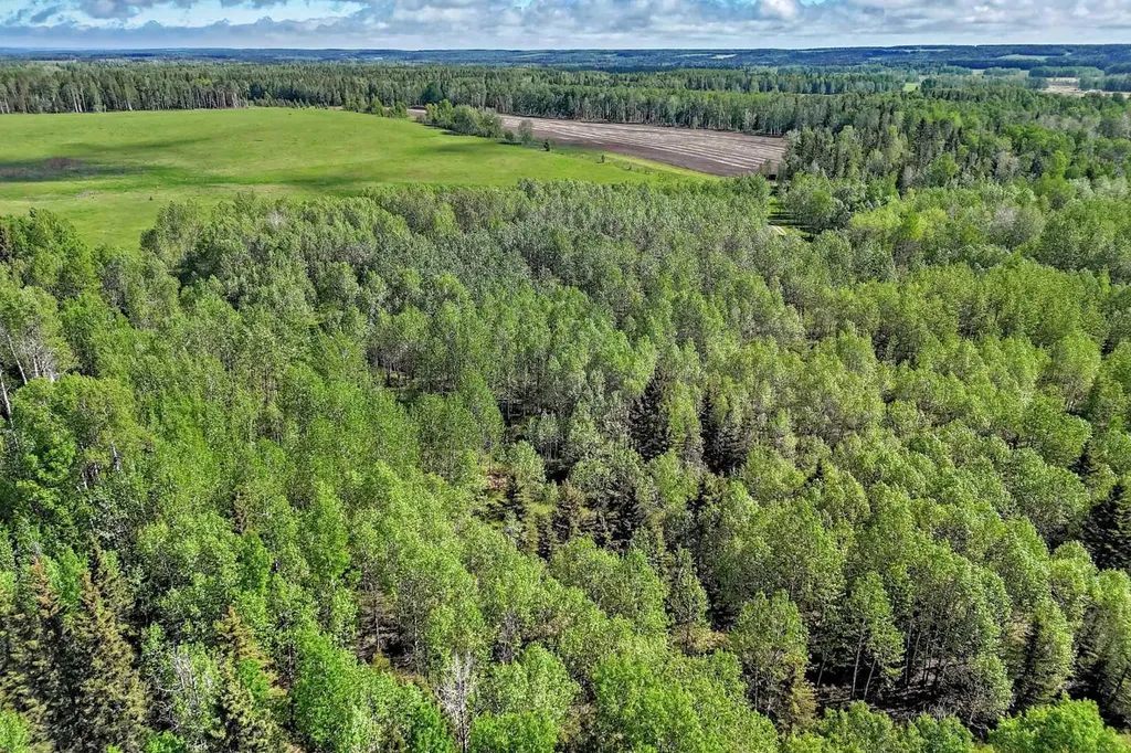 5401 Township Road 312 Rural Mountain View County AB T0M 1X0