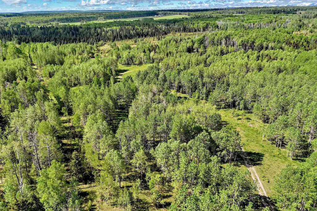 5401 Township Road 312 Rural Mountain View County AB T0M 1X0