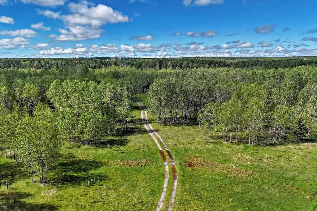 5401 Township Road 312 Rural Mountain View County AB T0M 1X0